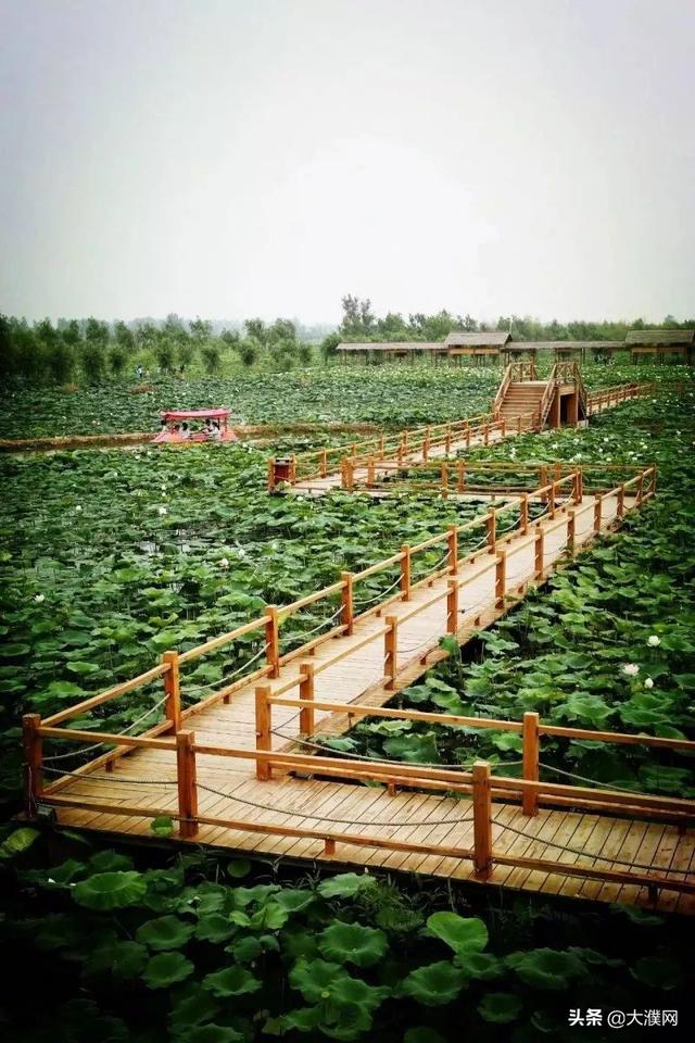 濮阳有什么好玩的景点，濮阳旅游景点推荐一下（行走河南·读懂中国丨不负好春光）