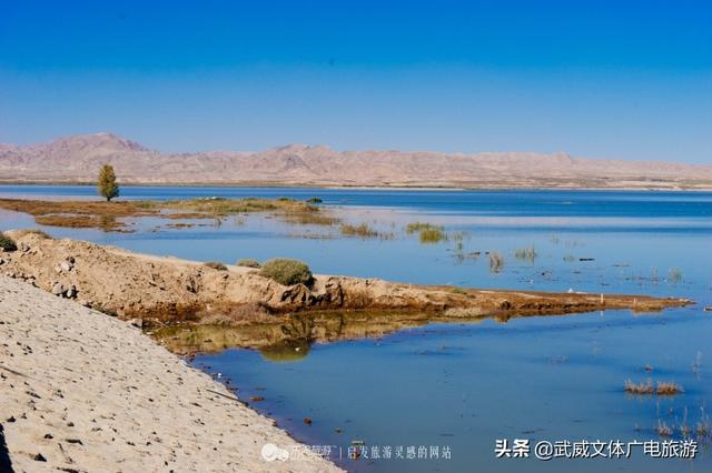 武威周边旅游景点推荐一日游，甘肃武威自驾游8个景点大盘点