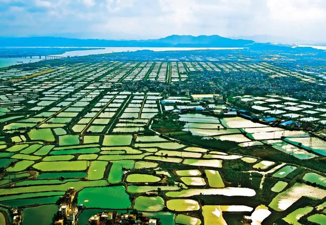 珠江入海口地理位置，珠江有几个入海口