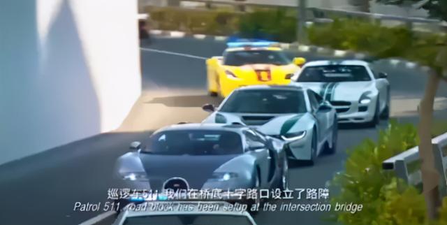 迪拜王储双胞胎妻子，为王储生下龙凤胎