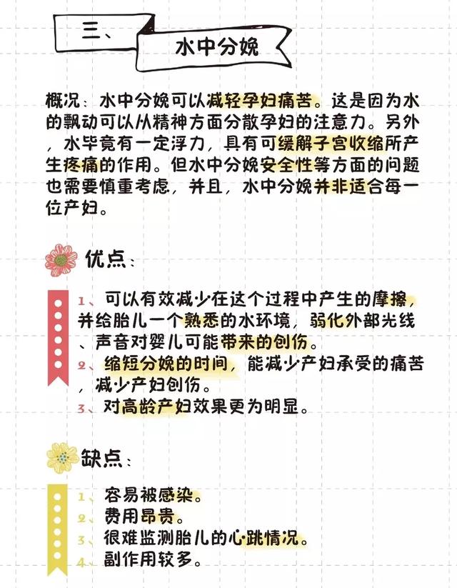 猫的生育常识和技巧，最全的入门级生育指南