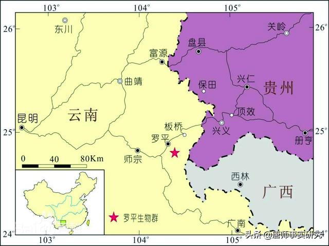 罗平旅游景点大全，曲靖罗平旅游景点大全（中国最美四季游之春季：罗平）