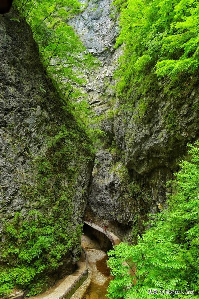 美丽的金丝峡景区，大秦岭的封面—金丝峽