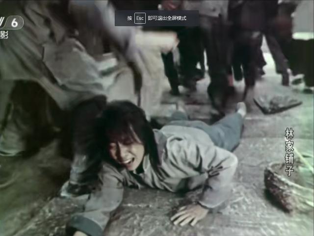 林家铺子创始人林楠身价，《大连品牌力量》专访大连林家铺子食品股份有限公司董事长林楠