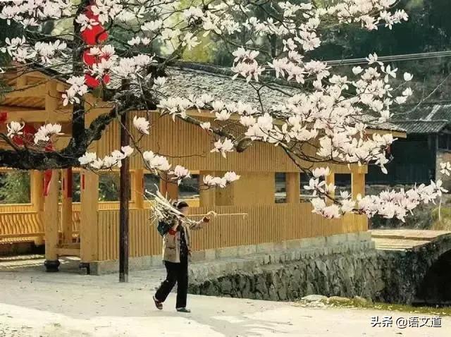 百家姓林排第几，福建省姓氏最新排名