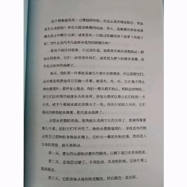 林清玄十篇最美散文，林清玄心美一切皆美