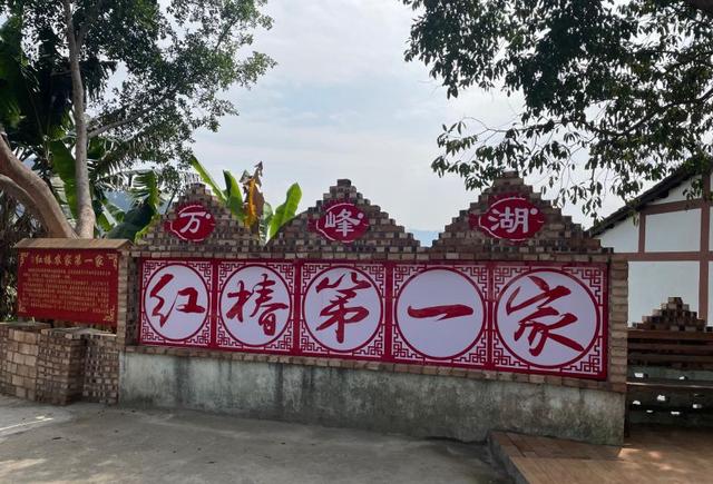 罗平油菜花最佳时间，去罗平看油菜花攻略