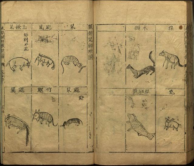 本草纲目全书带图，李时珍本草纲目全书（李时珍著《本草纲目》附图卷）