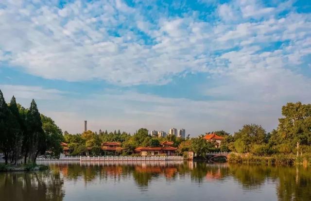 武汉大学的樱花，武汉大学赏樱花去哪里（报！武汉大学早樱开了）