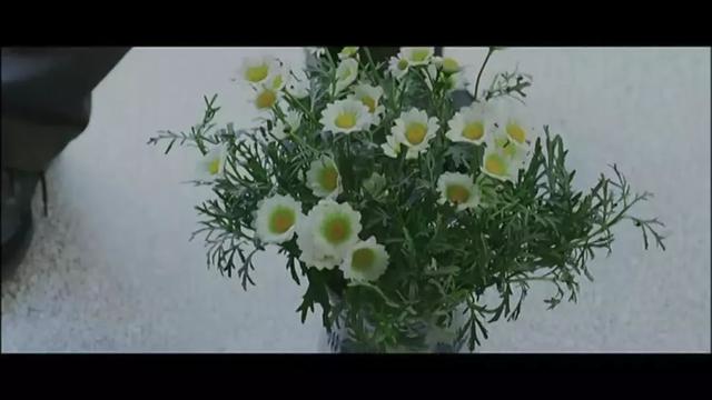韩国历届影帝影后，创韩国影史推女神上巅峰