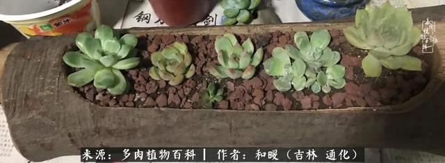 买肉，买肉的正确方法和注意事项