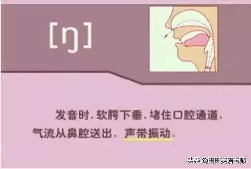 英语音标怎么学，初学英语者必看如何学习国际音标（资深老教师说：音标就该这样学）