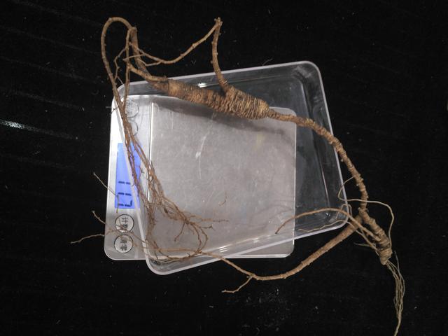 人参应该怎样吃才效果好，人参的吃法很重要