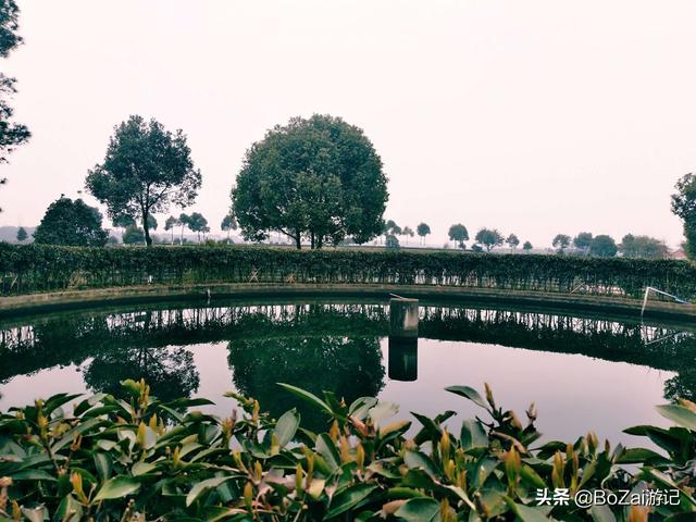 峨眉山乐山旅游，乐山攻略必去十大景点（ChatGPT五分钟整理一套乐山/峨眉山旅游攻略）