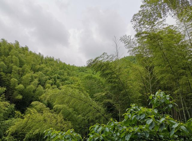 武功山旅游攻略，武功山旅游攻略一日游（江西武功山\u0026仙凤三宝亲子游记）