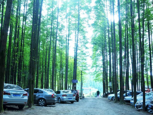 重庆周边凉快的避暑打卡地两三天，重庆周边这⑧个避暑胜地只有25℃