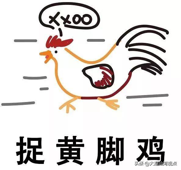 粤语常用俗语谚语，粤语俗语里面有这么多冷冷冷冷笑话