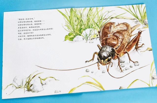 亲子阅读推荐书目100本，推荐5本亲子好书