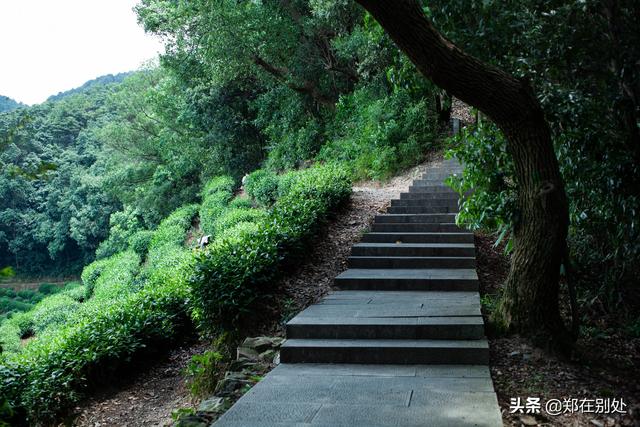 杭州冷门爬山路线，杭州登山路线08最好在这里