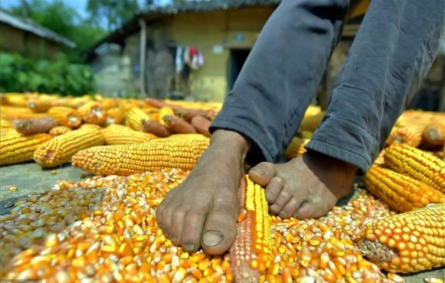 陈星银颁奖典礼，含勺喂母感天动地