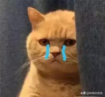 屈臣氏是卖什么的，屈臣氏必买10件良心产品（屈臣氏，大事不妙）