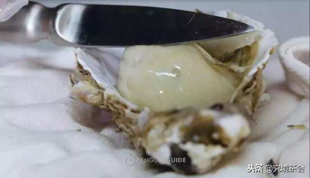 生蚝怎么做才好吃，美味留得住生蚝的9种做法（生蚝还是这样做好吃）
