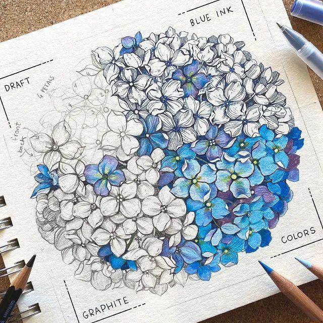 妙笔生花水墨画教程，教科书级别的植物线描