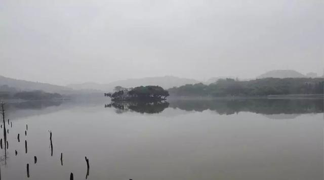 广州大夫山在哪，广州番禺-大夫山