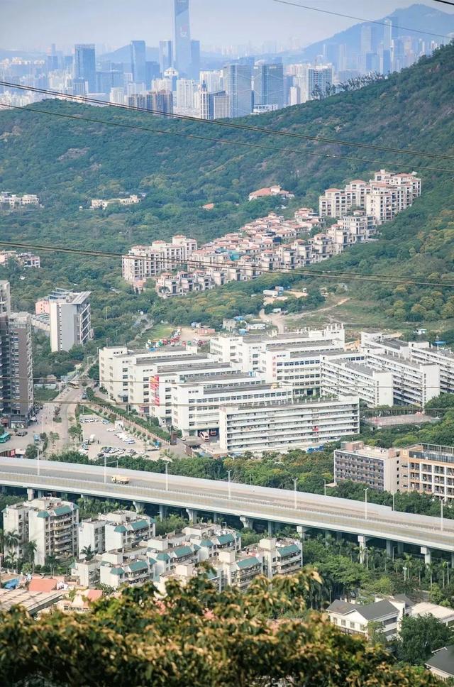 深圳旅游攻略景点推荐，深圳十条旅游路线（不完整的旅游景点和美食选择）