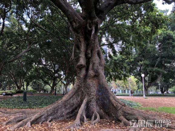 澳洲留学一年30万够吗，去澳洲留学一年花销多少