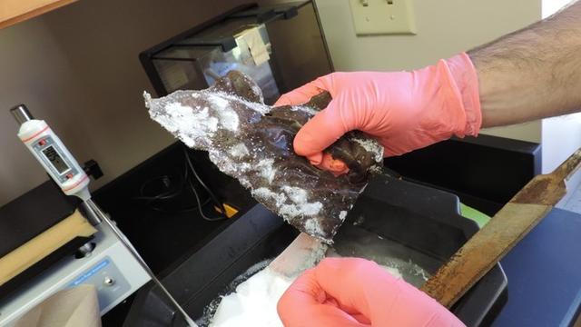 世界上最搞笑的诺贝尔奖，100万亿奖金的搞笑诺贝尔奖