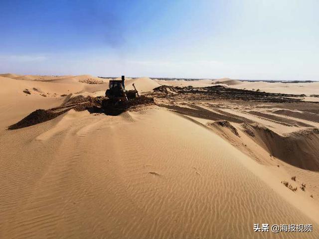 阿拉善植树状况，容声冰箱喊你来阿拉善种树了