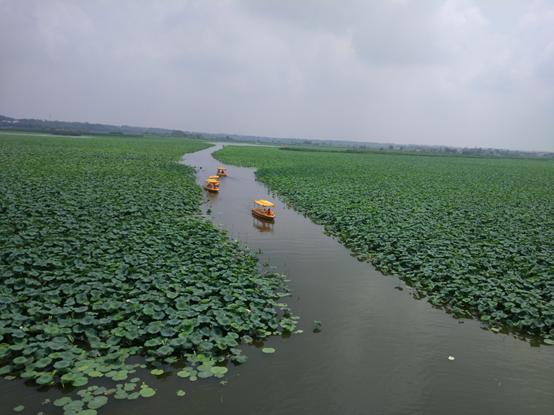 陕豫湘鸡鸣三省在哪里，苏皖豫陕大巴车三天游十城是一种什么节奏