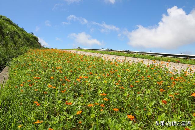 福泉山国家公园，福泉山风车公路