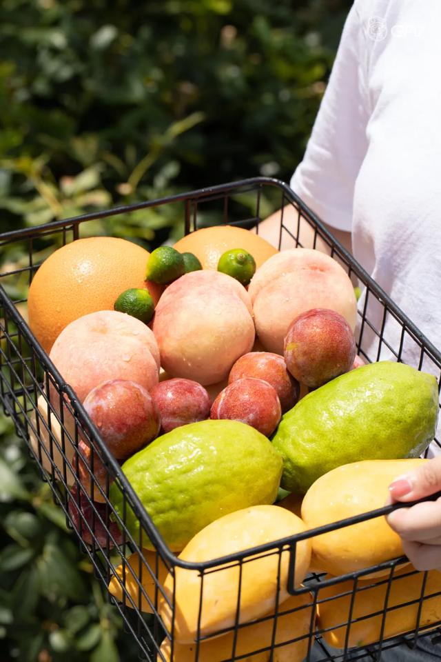 新场街茶屿水果茶，超巨型红色水果茶城堡