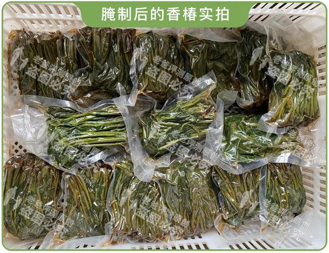 老人吃香椿炒鸡蛋进icu，老人吃香椿炒蛋中毒