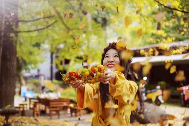 十一假期出游可畅玩银杏湖乐园，湖光山色风景迷人