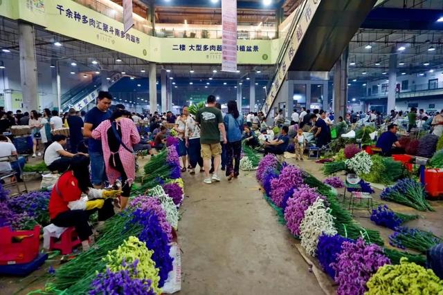 便宜又实惠的鲜花市场，打卡全国最大的鲜花批发市场