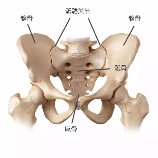 肥胖骶髂(肥胖骶髂关节炎会加重吗)