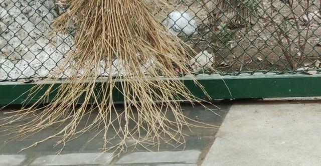 小米10pro，小米10 pro 今日评测