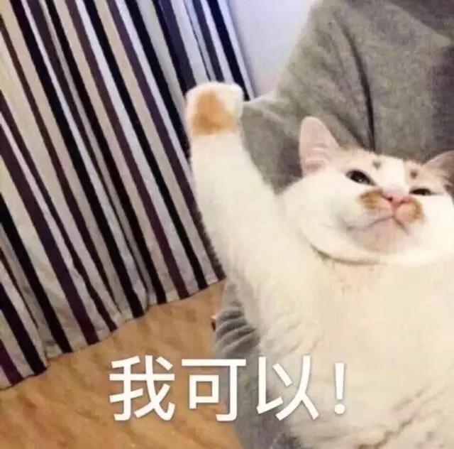 失落猫咪表情包，表情包憨憨猫咪