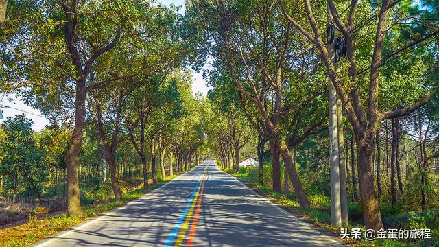 世界闻名的十大魔鬼公路，只有三种颜色溧阳1号公路