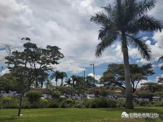 津巴布韦总统现状，津巴布韦总统埃默森·姆南加古瓦在“杂交水稻援外与世界粮食安全”国际论坛上的致辞