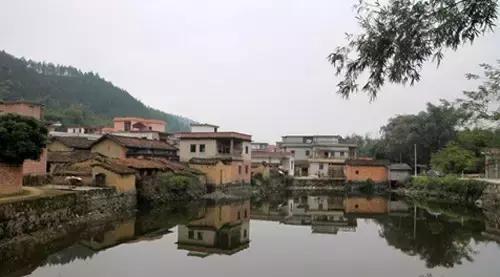 肇庆古村落排行，杨池古村是一座值得一游的古村落,出游时不妨选择