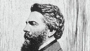 海豚和白鲸的区别，白鲸为什么是海豚（妹子的iPhone掉进大海后）