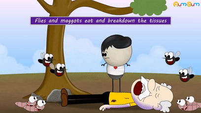 人死后会怎么样，人死后会发生哪些变化（人死后身体会发生什么）