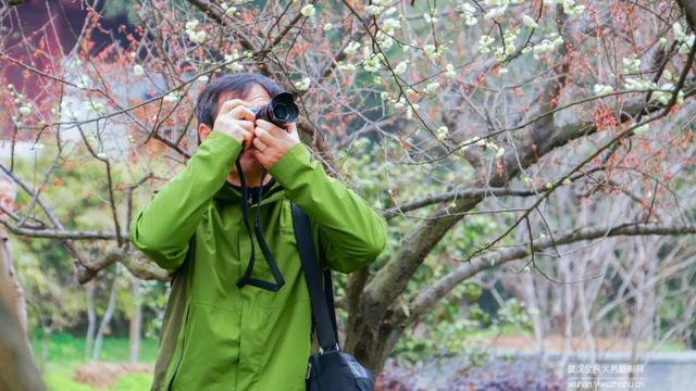 蜡梅与腊梅的区别，蜡梅是梅花吗究竟是（腊梅花与蜡梅有什么区别）