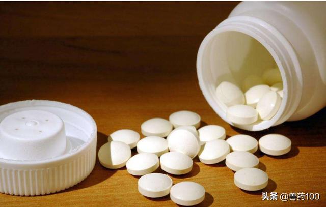 养猪的要求和标准，农村搞个养猪场要什么条件