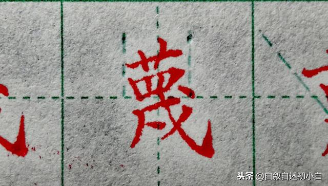 草字头加长怎么读，草书练字教程米字格（<二>艹、屮、艸、芔、茻）