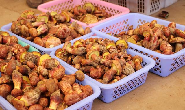 云南人的永久记忆，云南人为何愿做